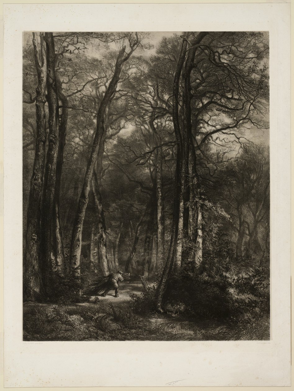 I skoven af Karl Bodmer