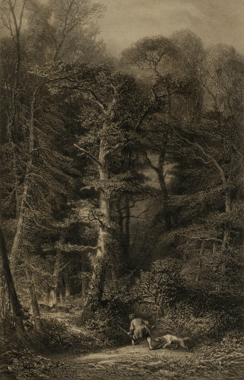 Skovens indre af Karl Bodmer