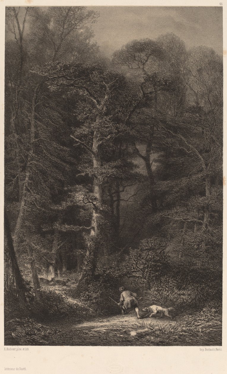 Skovens indre af Karl Bodmer