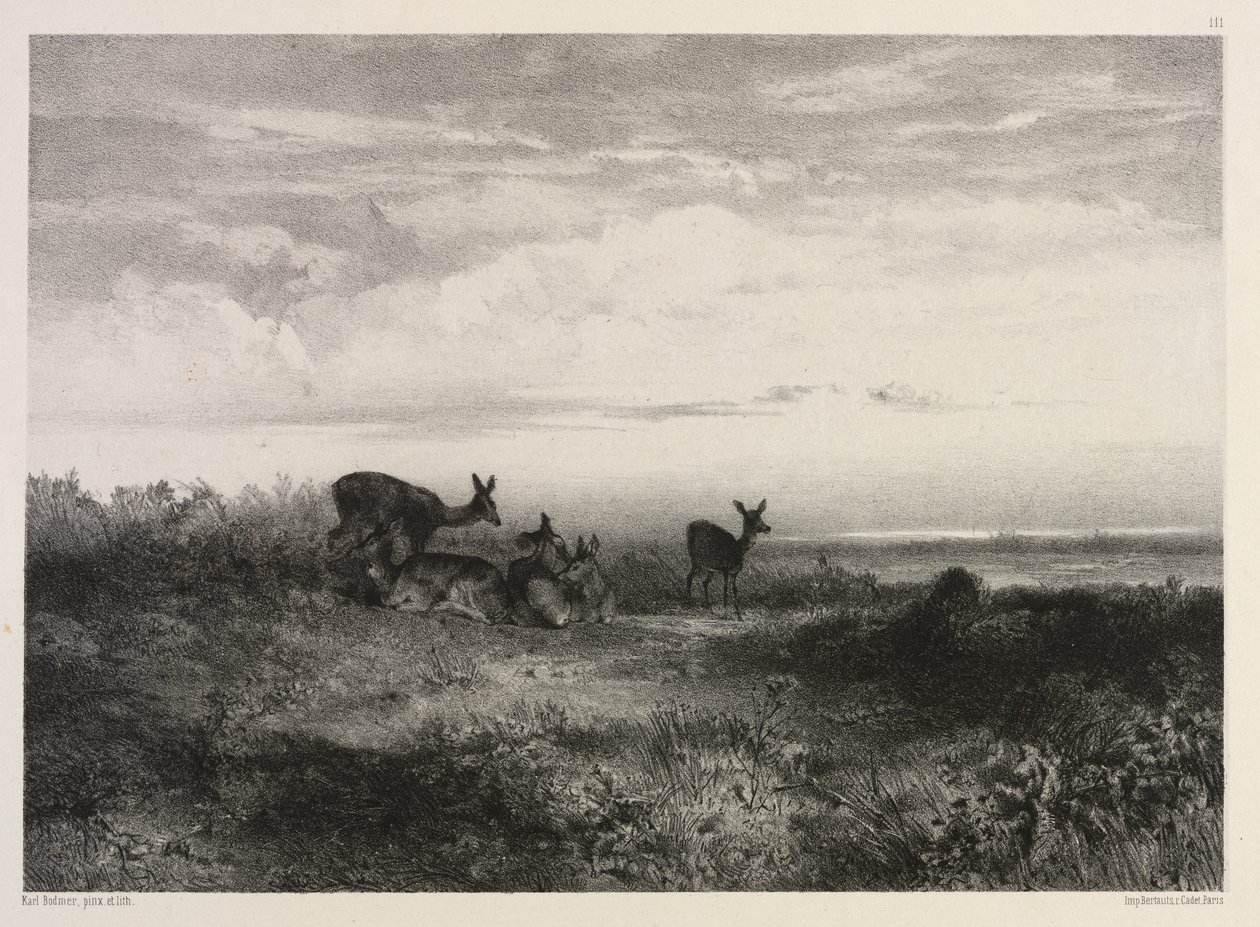Landskab med hjorte af Karl Bodmer