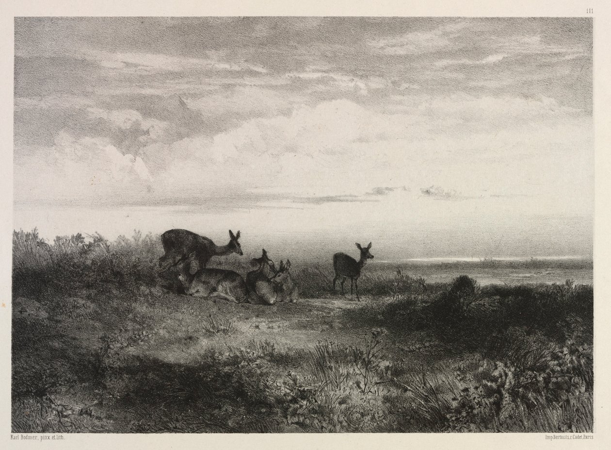 Landskab med hjorte, ca. 1840. af Karl Bodmer
