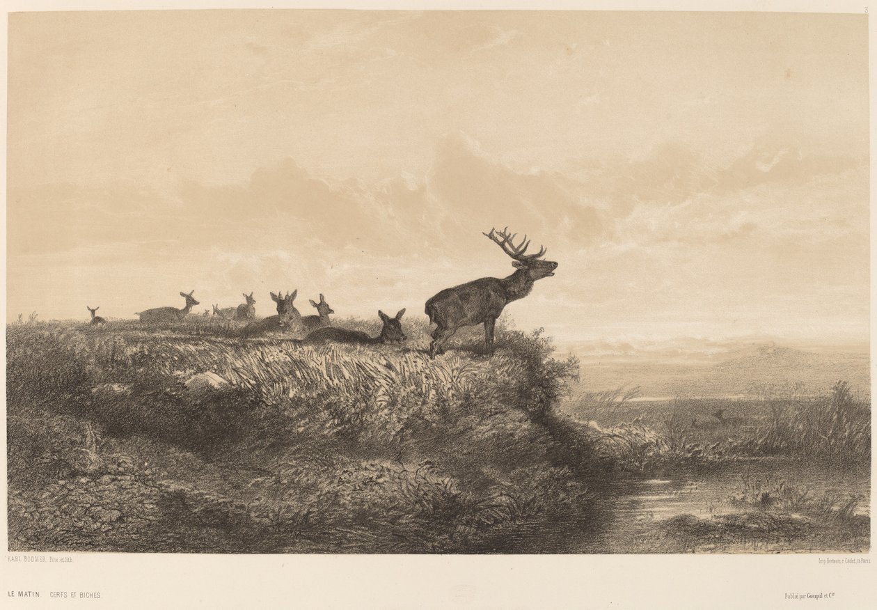 Morgenen. af Karl Bodmer
