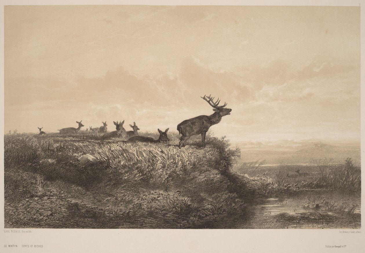 Morgenen af Karl Bodmer