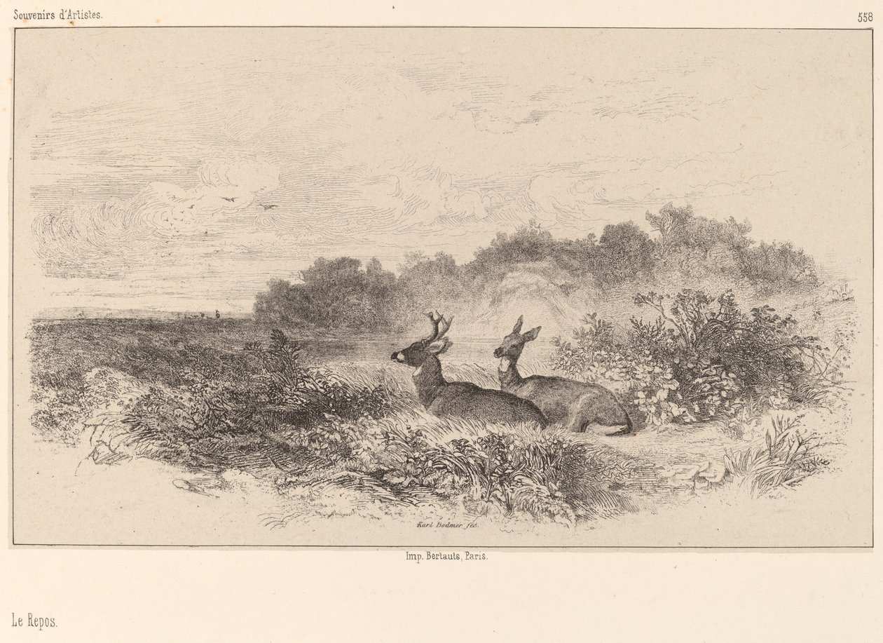 Hvile. af Karl Bodmer