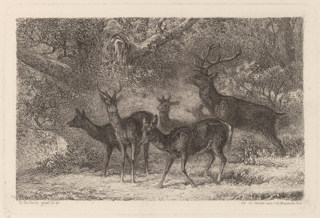 flokken af Karl Bodmer