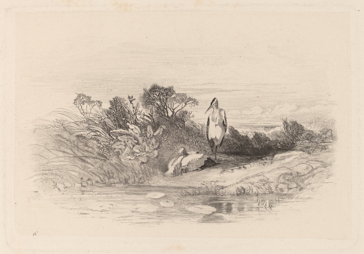 De to hejrer af Karl Bodmer