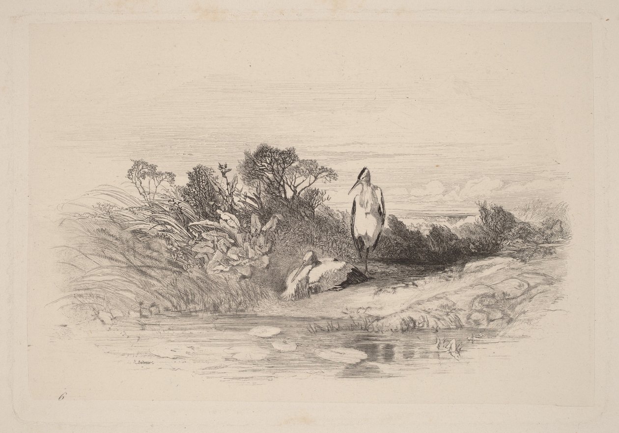 De to hejrer af Karl Bodmer