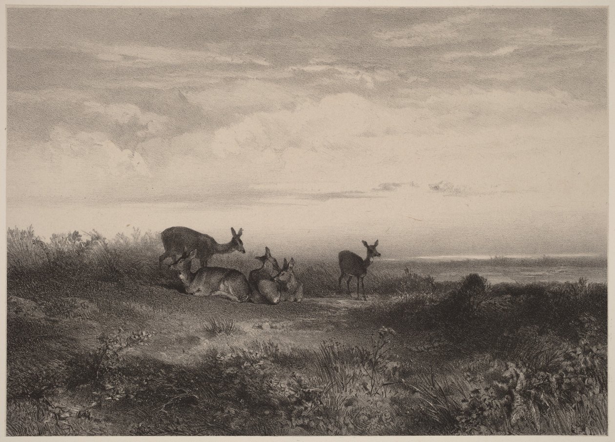 Hinderne af Karl Bodmer