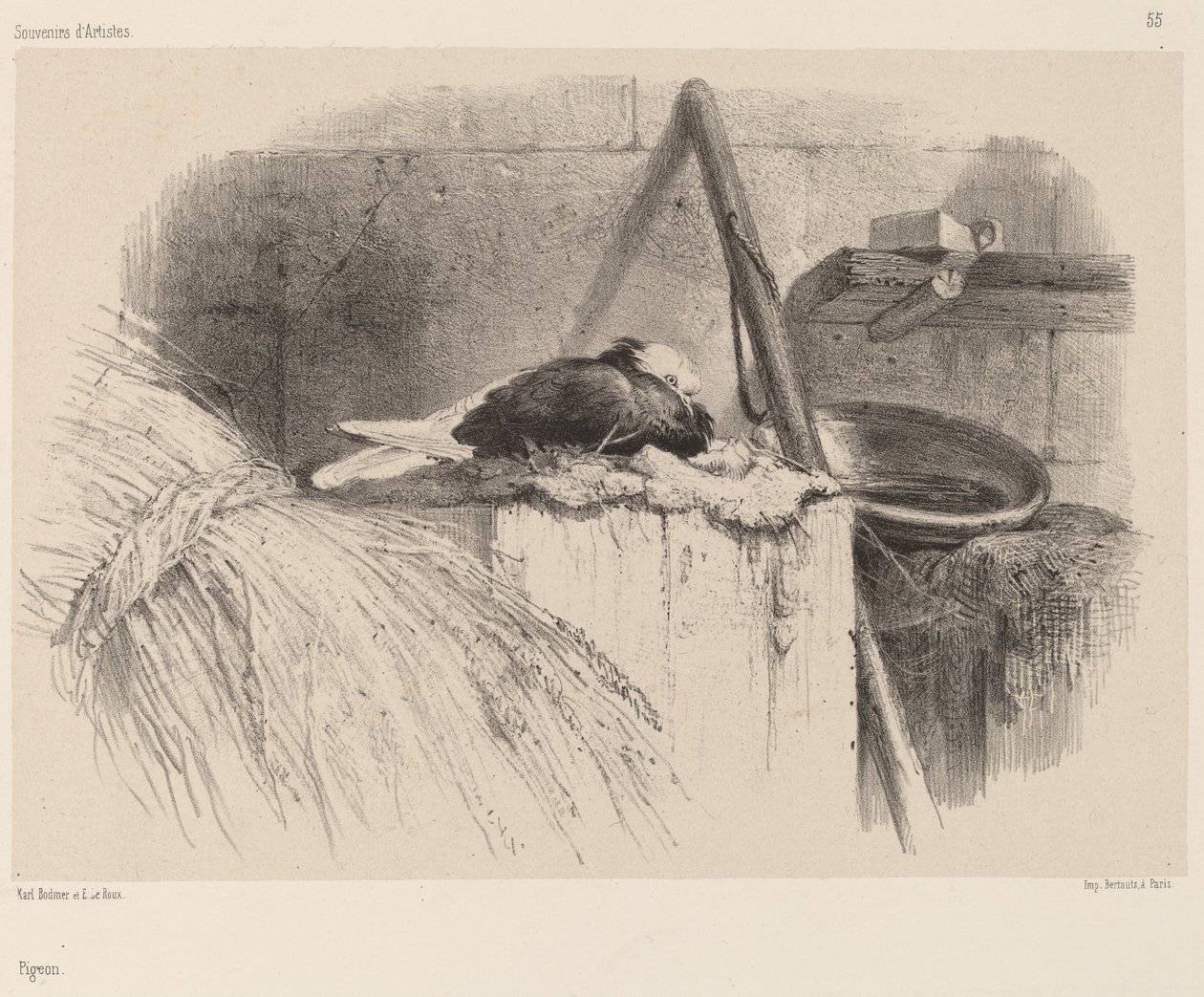 Due af Karl Bodmer