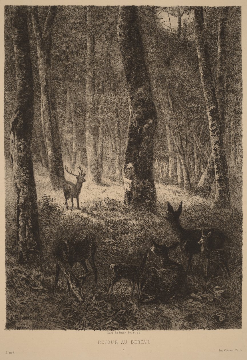 Tilbagevenden til folden af Karl Bodmer