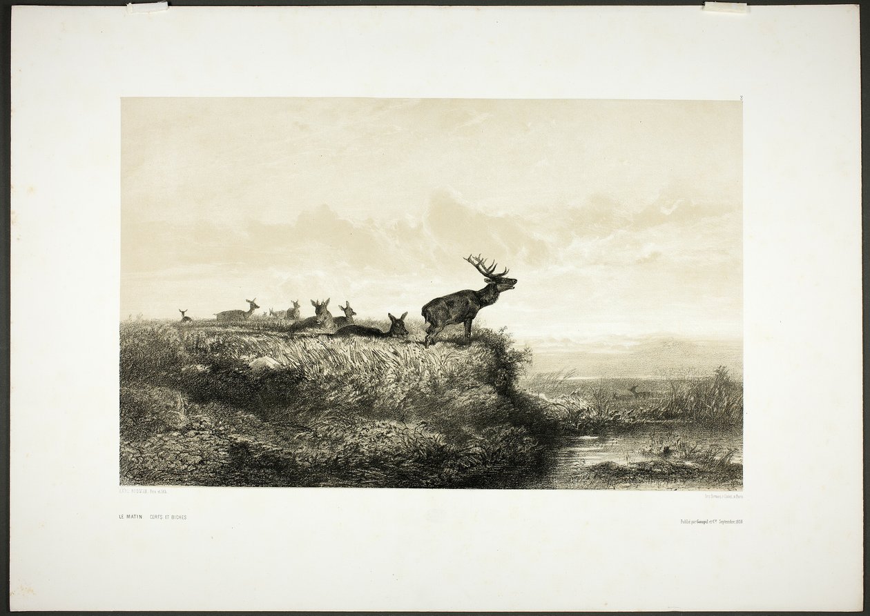 Om morgenen: Kronhjorte og hundyr af Karl Bodmer