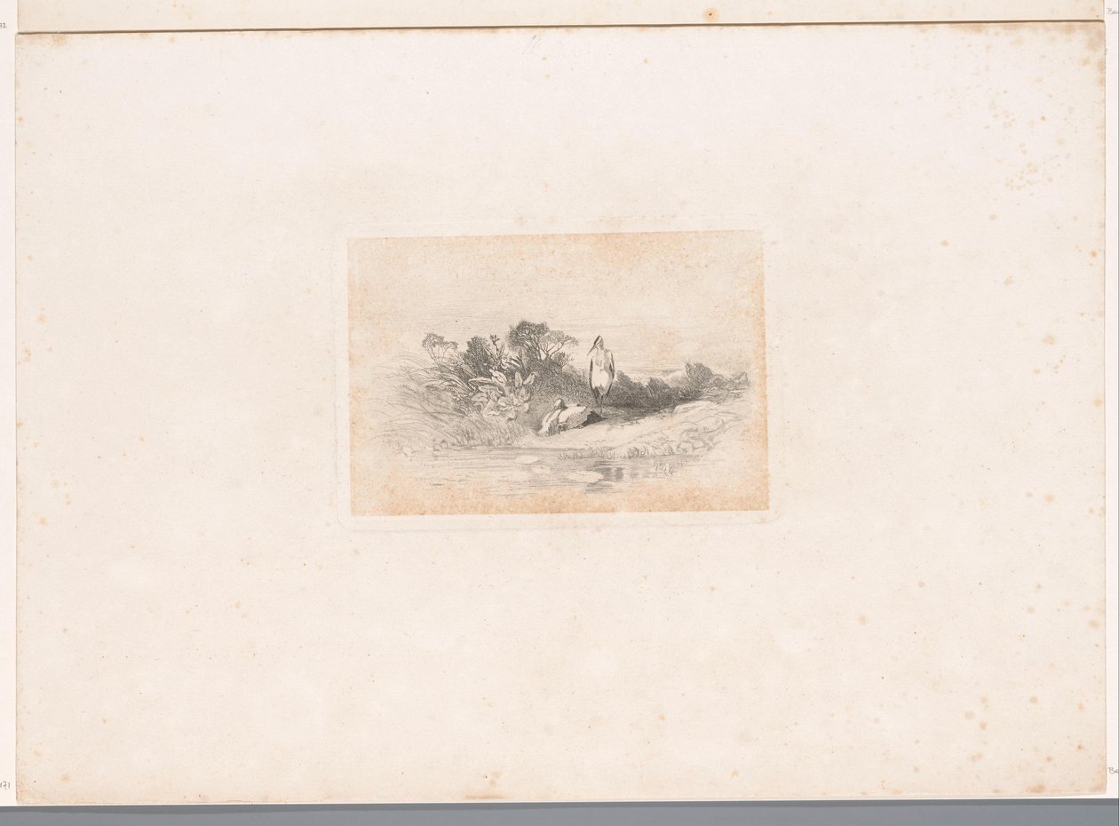 To hejrer ved havnefronten Landskaber med dyr (serietitel) af Karl Bodmer