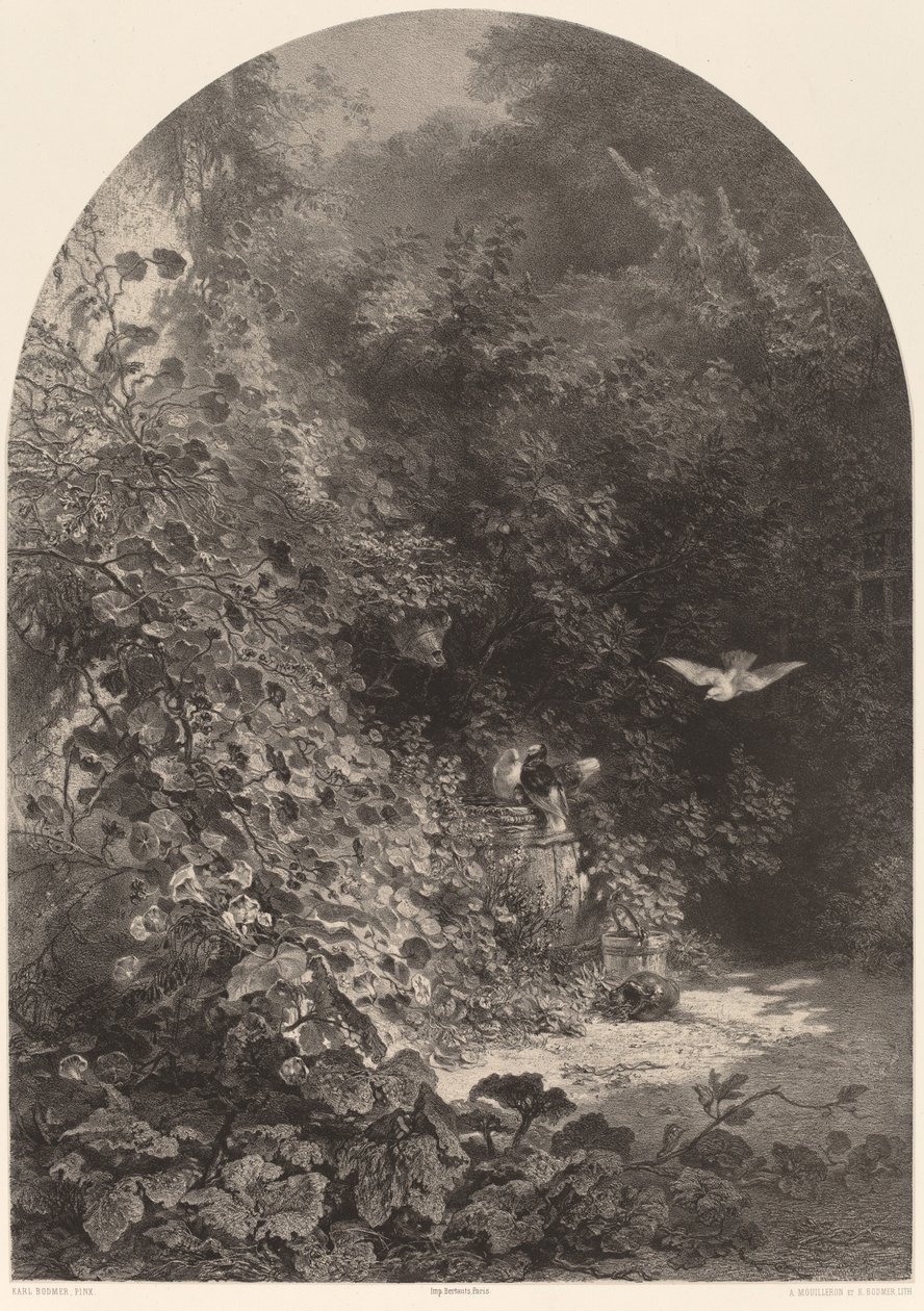 Et hjørne af haven. af Karl Bodmer