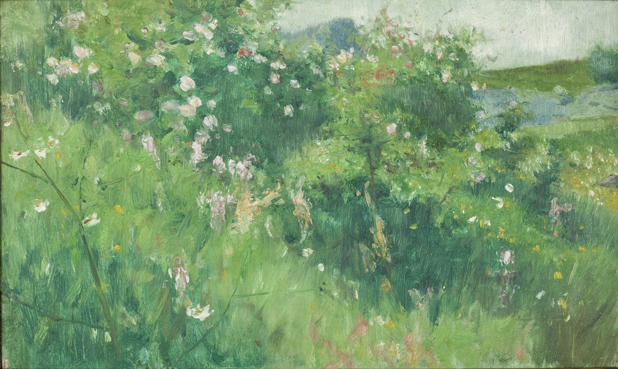 Briar-rosebuske blomstrer på øen Tjörn af Karl Fredrick Nordstrom