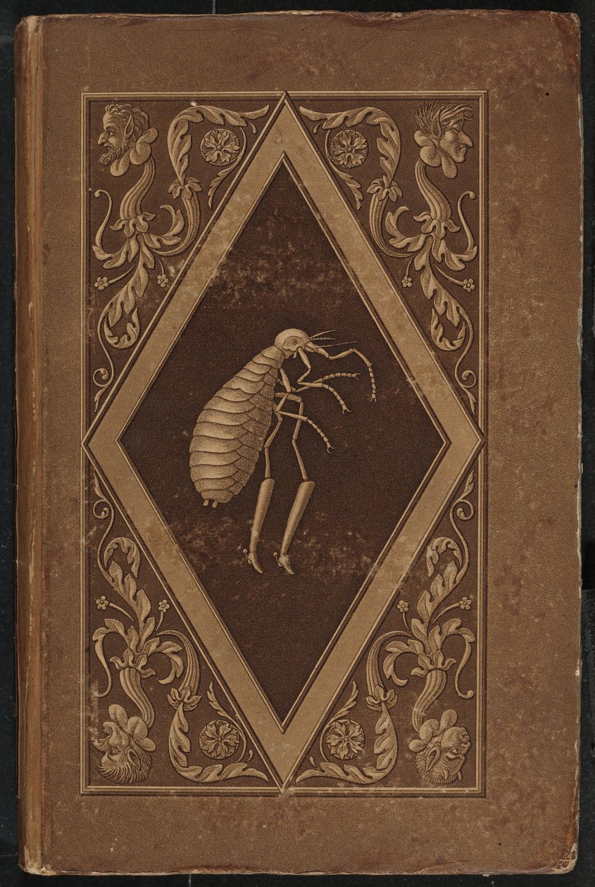 mesterloppe. A Fairy Tale in Seven Adventures of Two Friends (Master Flea: A Fairy-Tale in Seven Adventures of Two Friends af Karl Friedrich Thiele, Ernst Theodor Amadeus Hoffmann