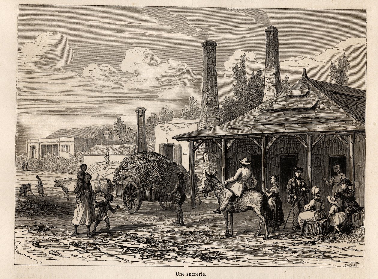 En sukkerfabrik fra Riviere du Rempart på Mauritius, tegning af Karl Girardet (1813-1871), til illustration af Alfred Verneys ophold på Mauritius i 1861. Indgravering i "" Le tour du monde"", redigeret af Edouard Charton af Karl Girardet