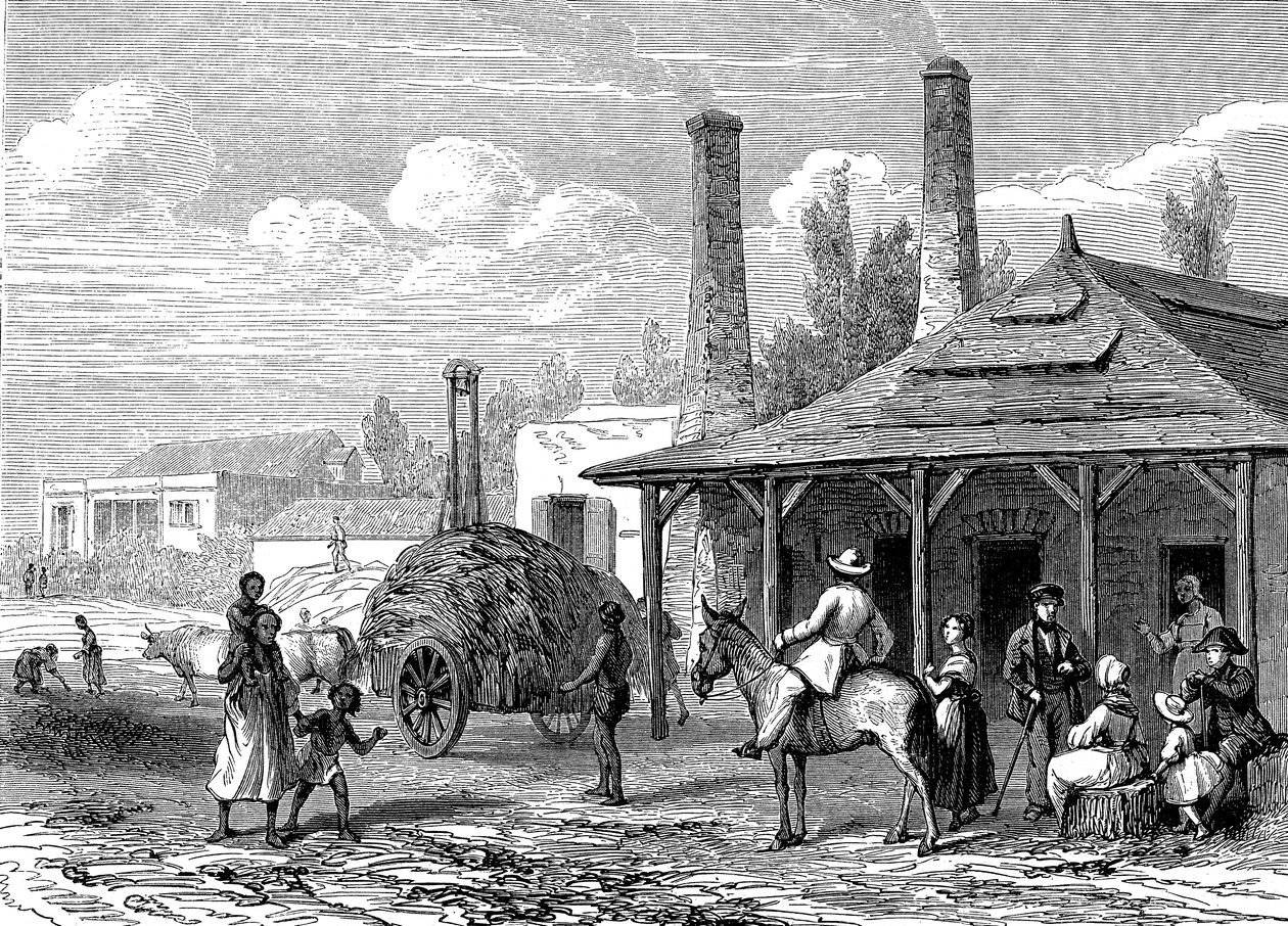 Sokeritehdas Mauritiuksella vuonna 1863. Le T du Monde Paris 1863 Kustantaja af Karl Girardet
