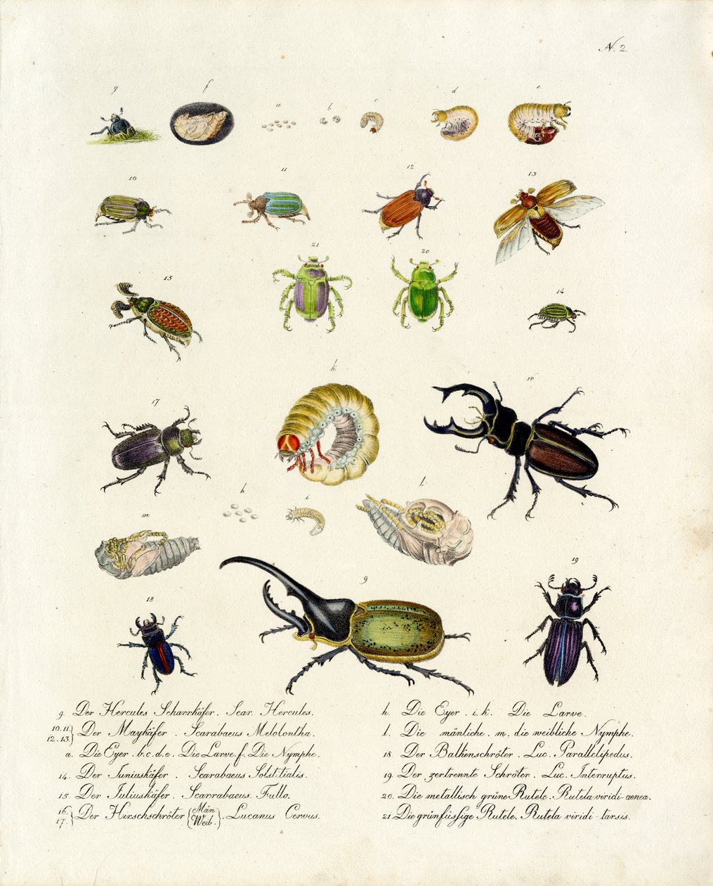  af Karl Joseph Brodtmann