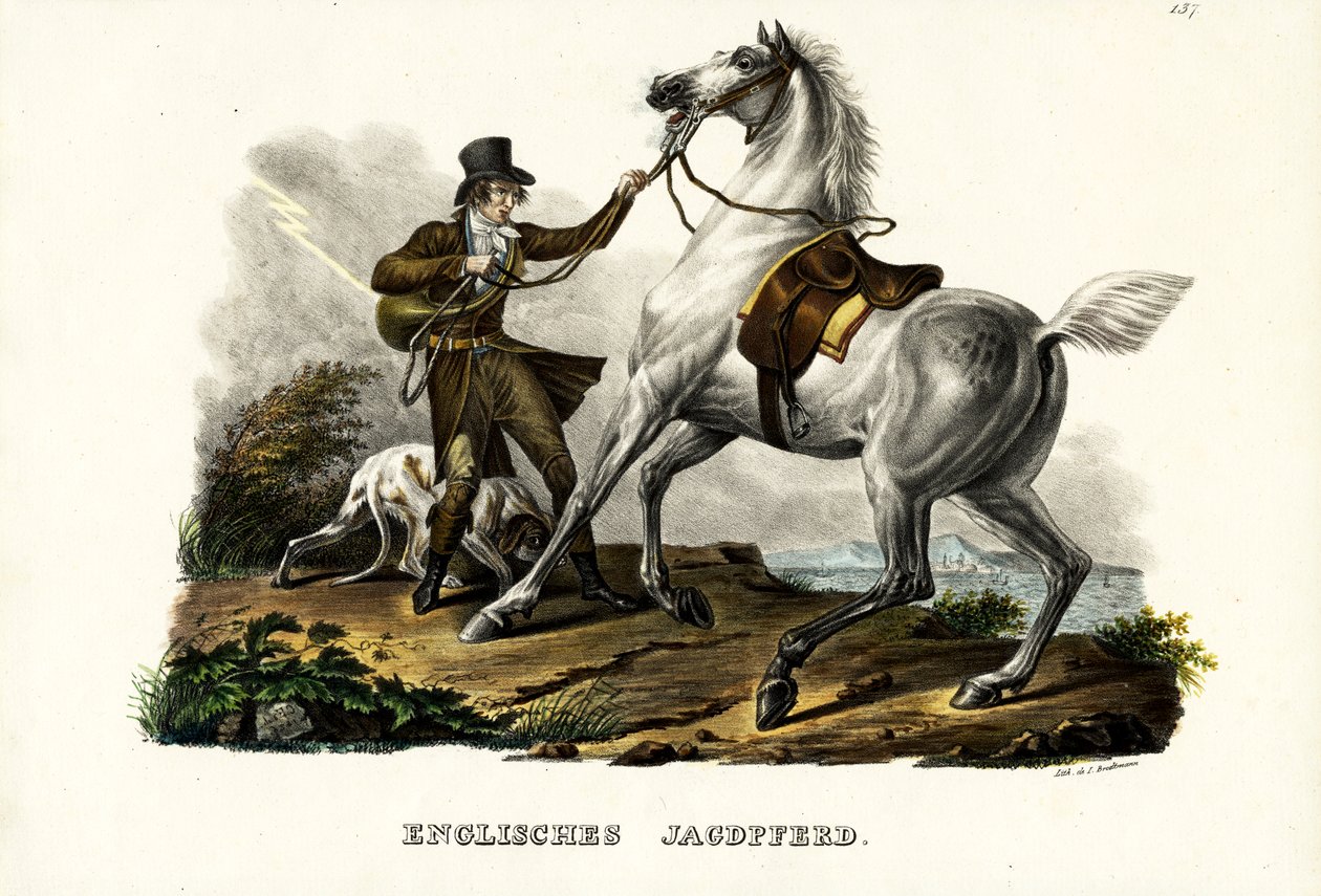 Engelsk jægerhest, 1824 af Karl Joseph Brodtmann