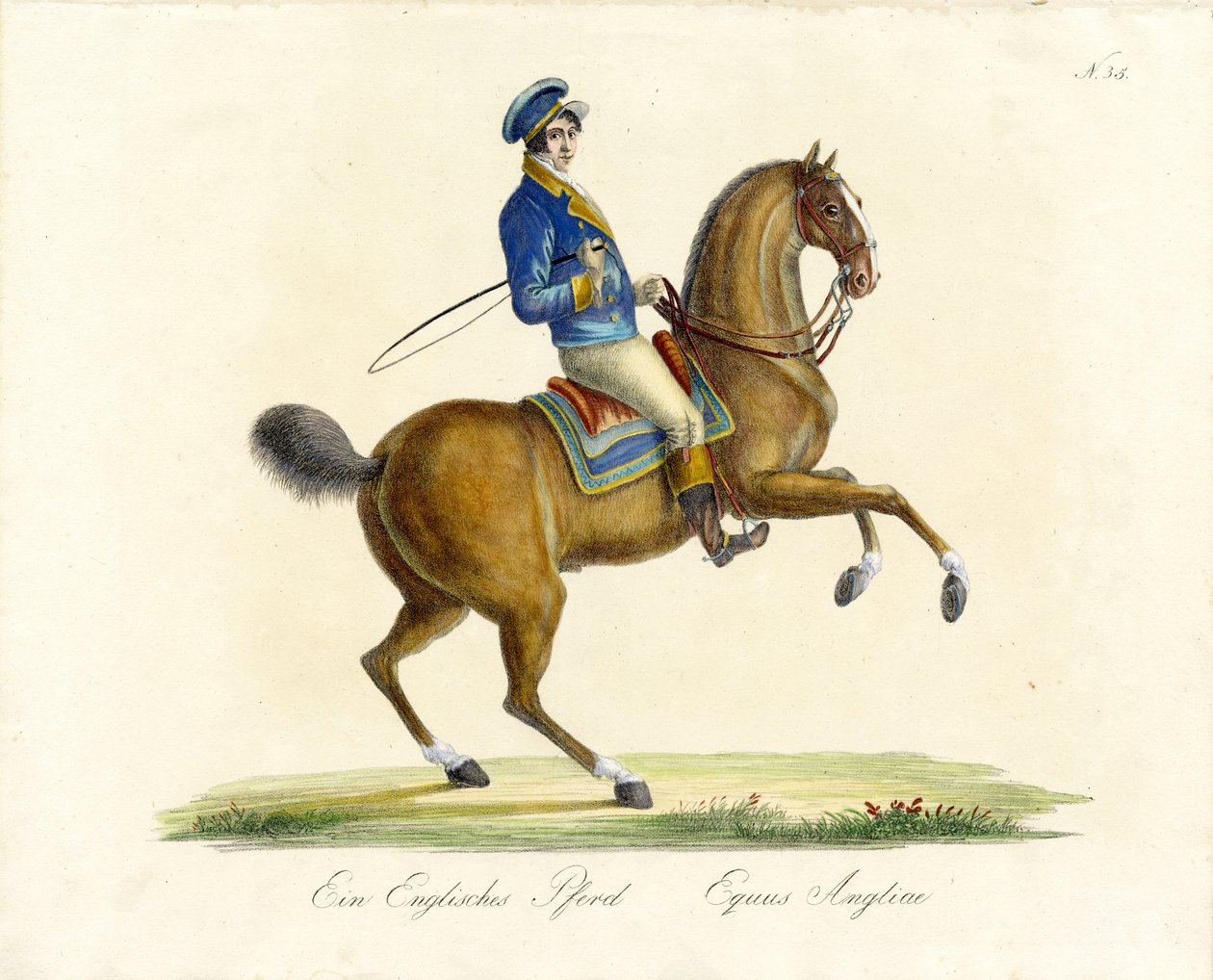  af Karl Joseph Brodtmann