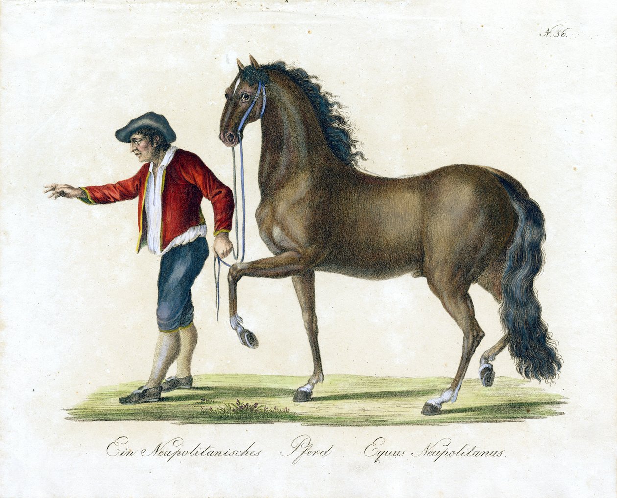  af Karl Joseph Brodtmann