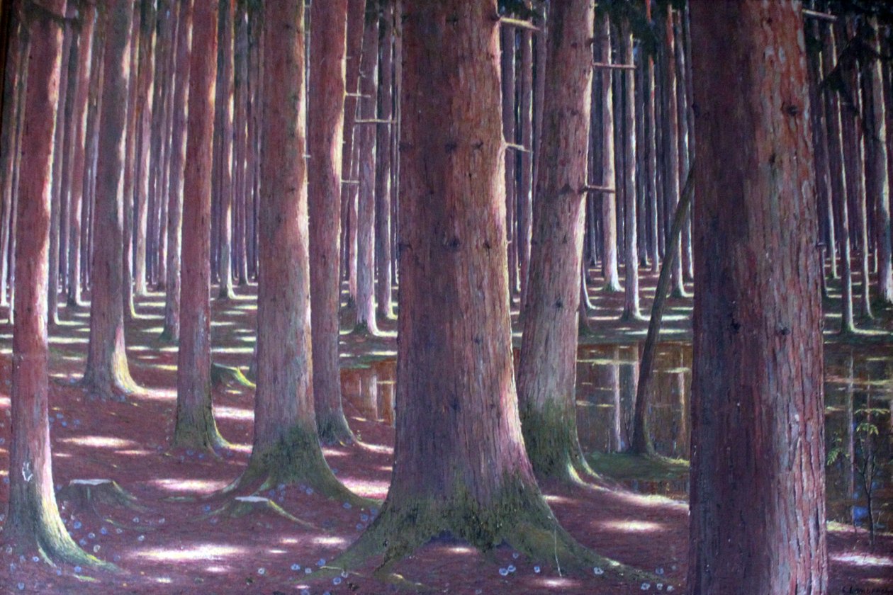 Skov af gran af Karl Lambrecht