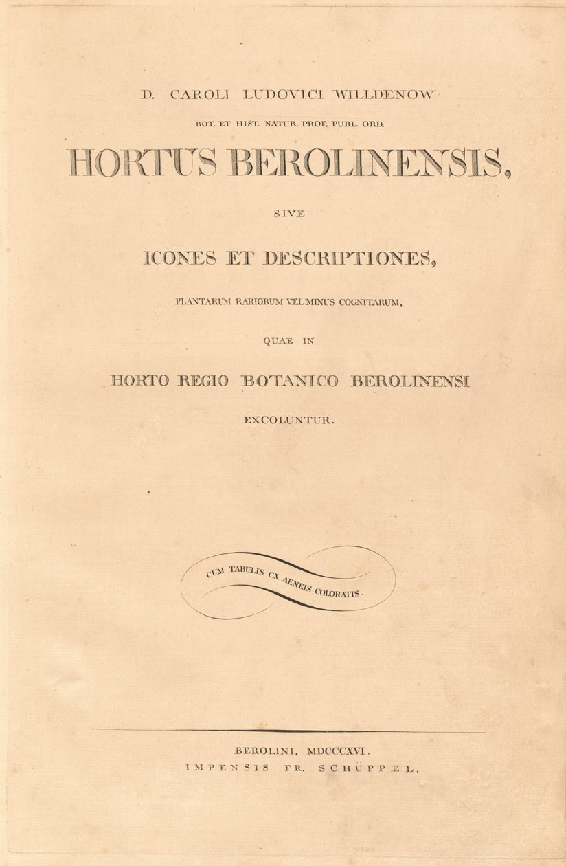 Berlins have af Karl Ludwig Willdenow