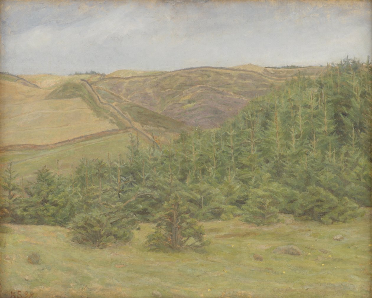 Svanninge Hills, Funen af Karl Schou
