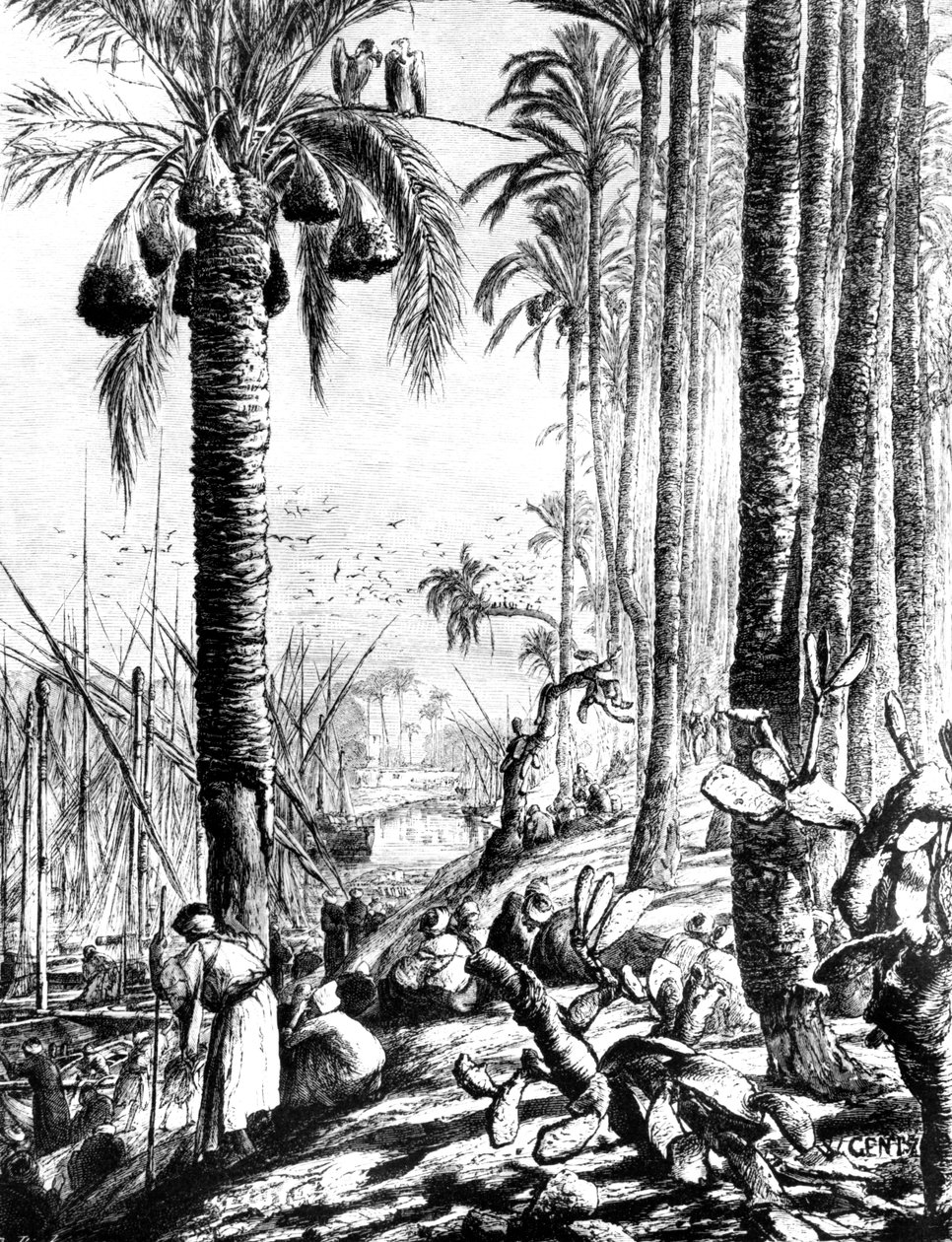 Kanten af kanalen, Mahmoudiyeh, 1880 af Karl Wilhelm Gentz