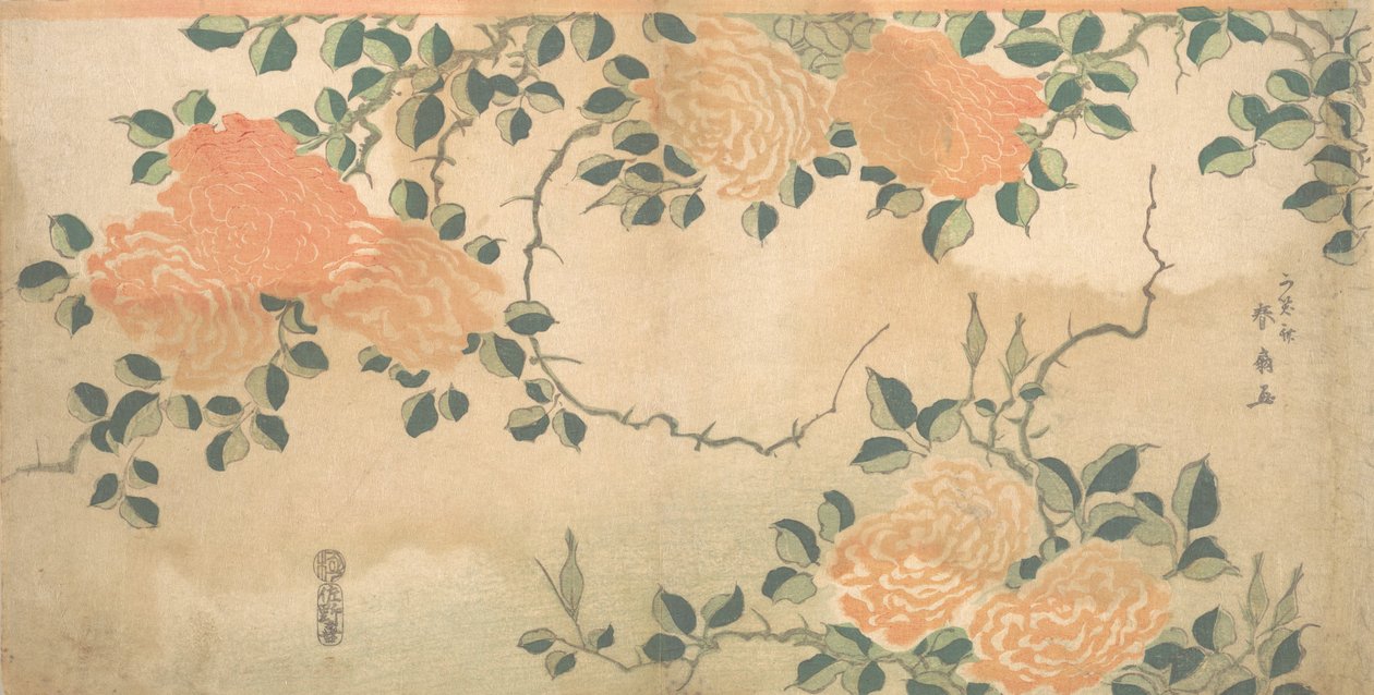 Roser, ca. 1810. af Kashosai Shunsen