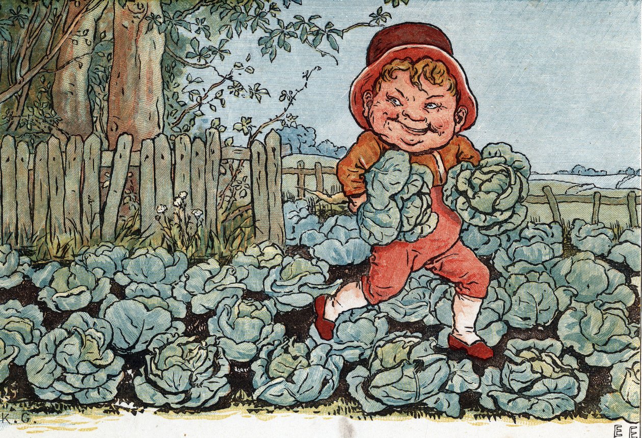 En nisse stjæler kål fra en køkkenhave. (En nisse stjæler kål). Illustration af Kate Greenaway (1846-1901) fra bogen med eventyr og børnerim for børn "" Under The Window" (1879), redigeret af Edmund Evans. af Kate Greenaway