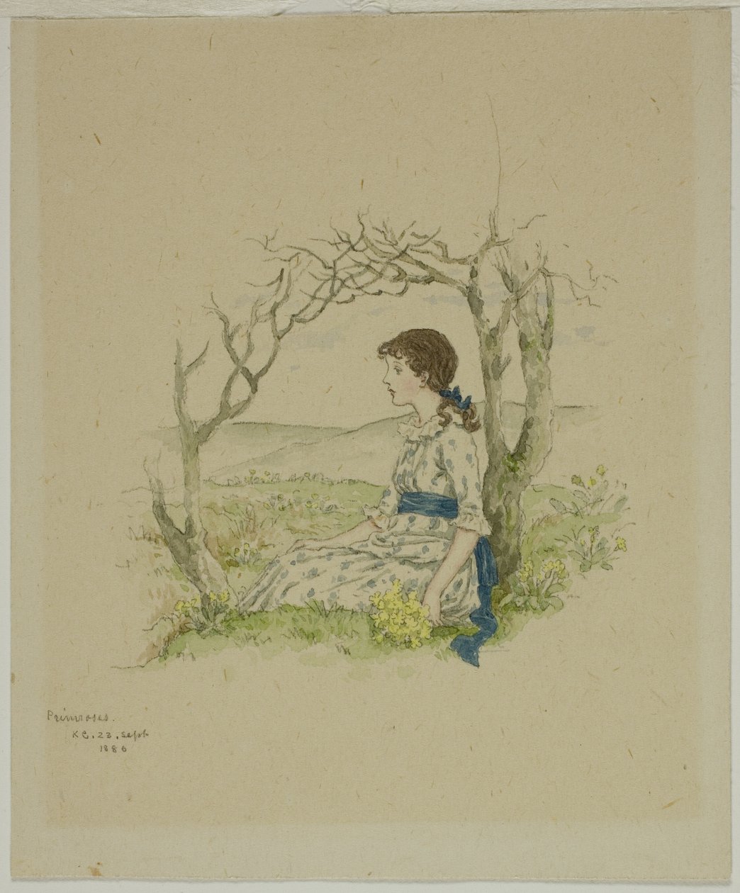 Siddende pige med primula af Kate Greenaway