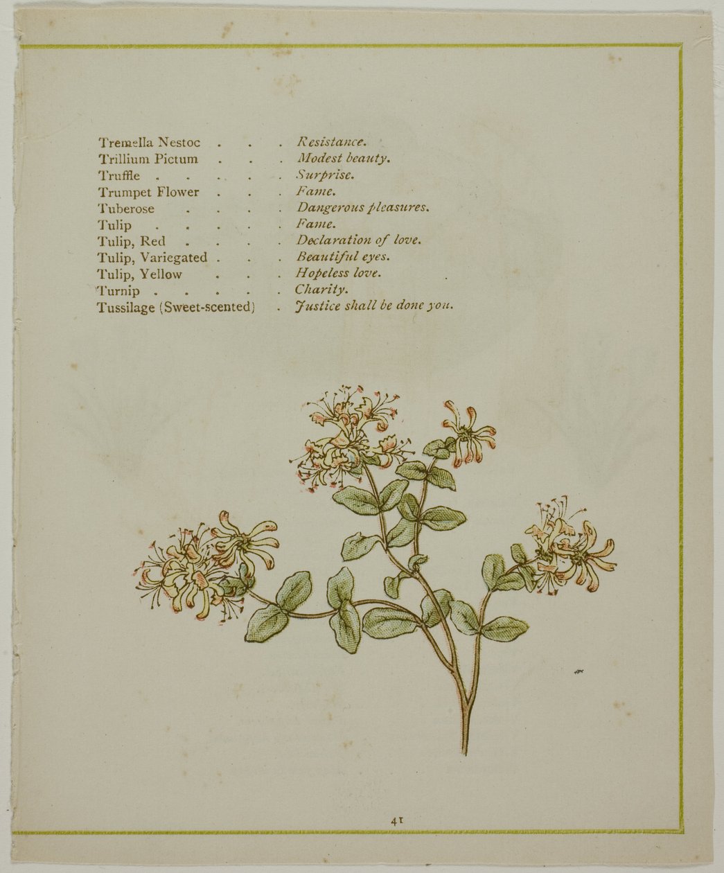 Baldrian gennem Volkamenia, fra Blomsternes oplyste sprog af Kate Greenaway