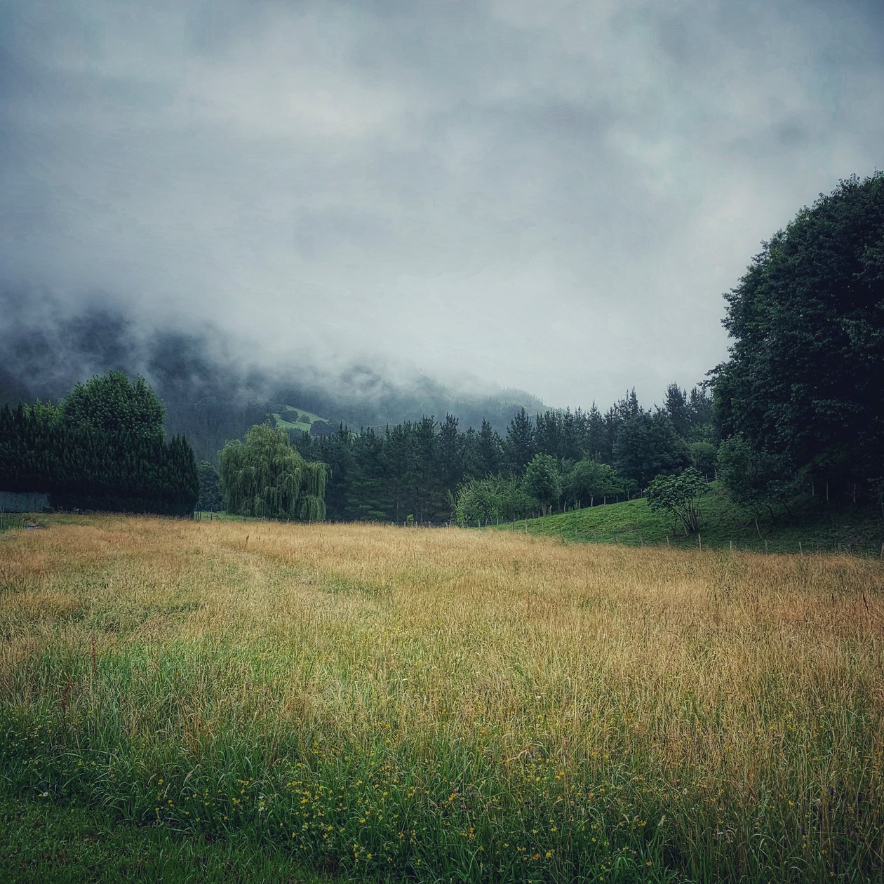 Misty Mountains, 2021 (foto) af Katha Wood