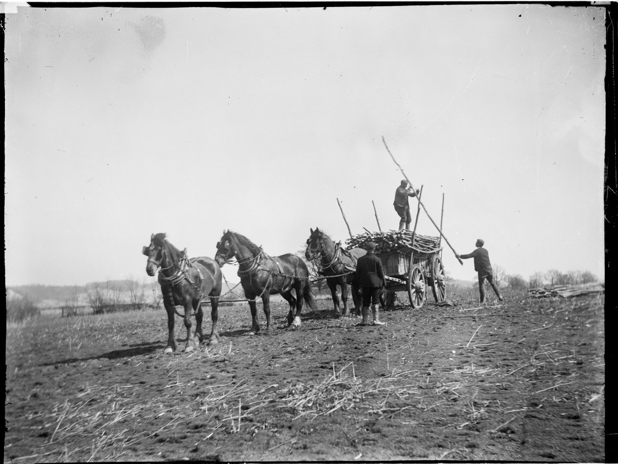 Broomfield, Broomfield And Kingswood, Maidstone, Kent, 06/04/1904 (s/h-billede) af Katherine Jean Macfee