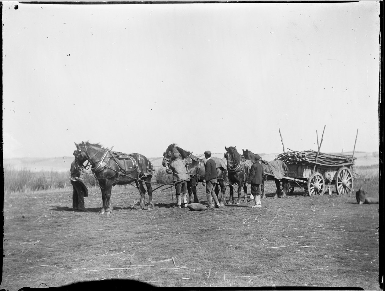 Broomfield, Broomfield And Kingswood, Maidstone, Kent, 06/04/1904 (s/h-billede) af Katherine Jean Macfee