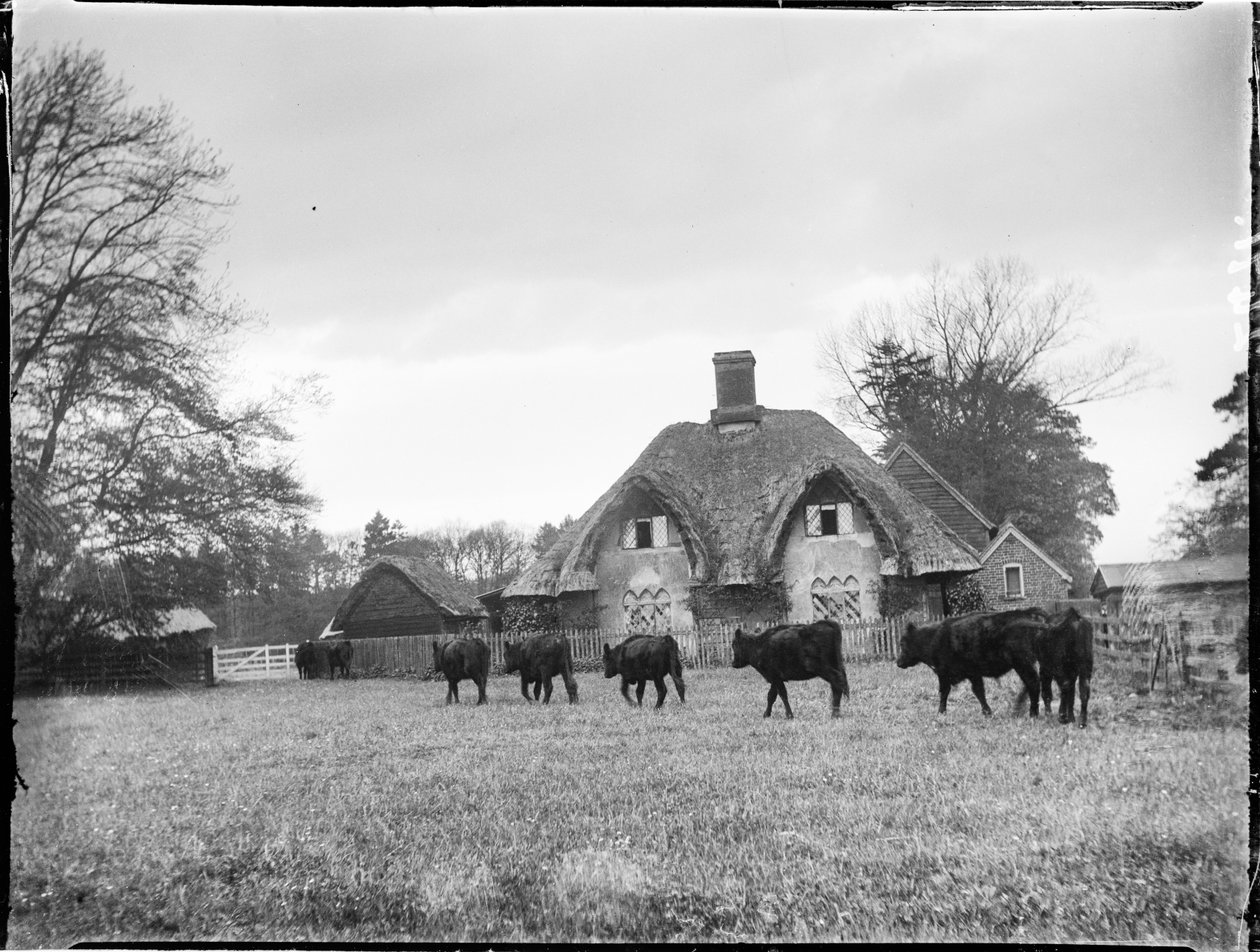 Great Hampden, Great And Little Hampden, Wycombe, Buckinghamshire af Katherine Jean Macfee