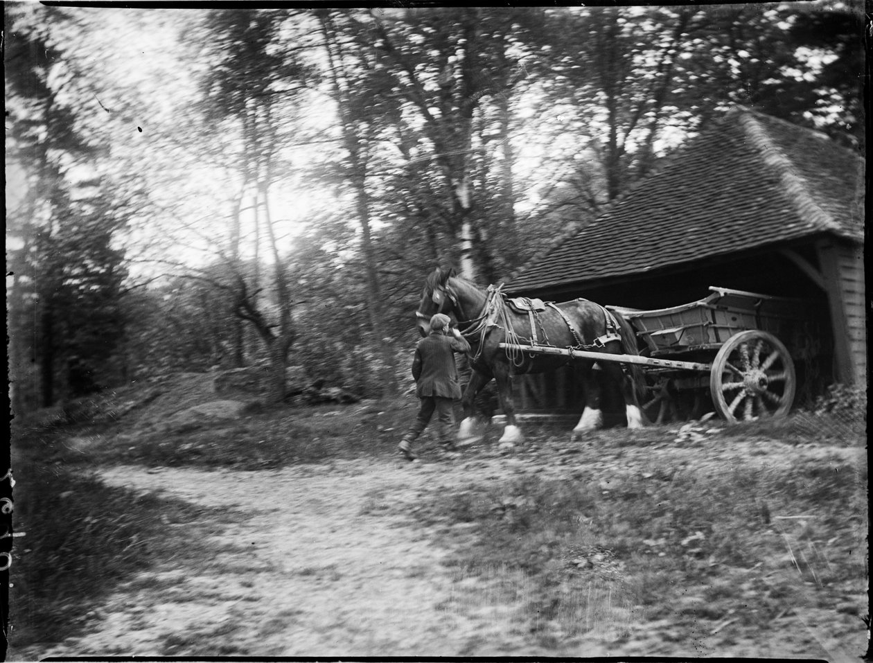 Groombridge, Speldhurst, Tunbridge Wells, Kent, 20/05/1911 (s/hvid foto) af Katherine Jean Macfee
