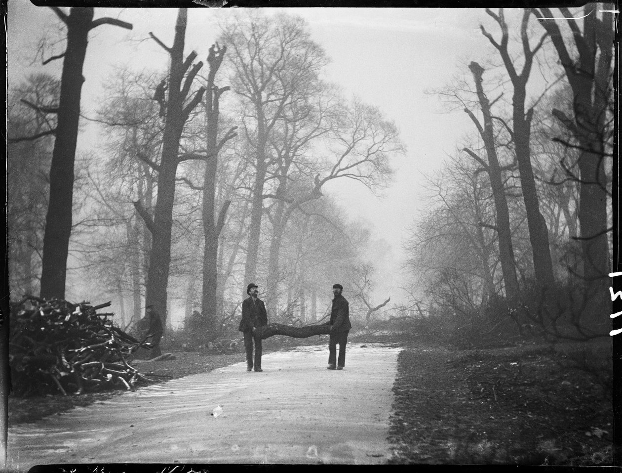 Kensington Gardens, Hyde Park, City Of Westminster, London, 26/01/1907 (s/hvid foto) af Katherine Jean Macfee