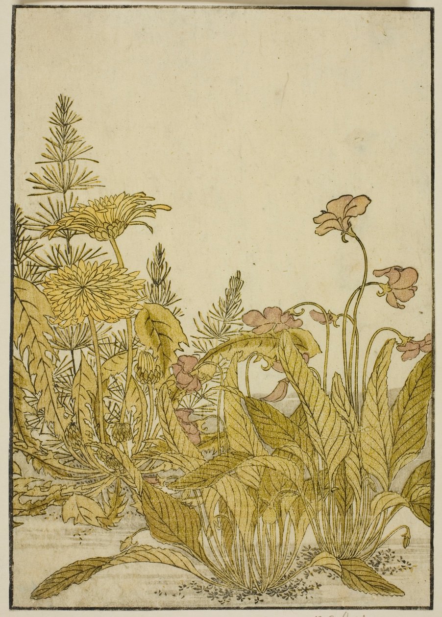 Spring Flowers: Violets and Dandelions, fra bogen "Mirror of Beautiful Women of the Pleasure Quarters (Seiro bijin awase sugata kagami)," vol. 1 af Katsukawa Shunsho