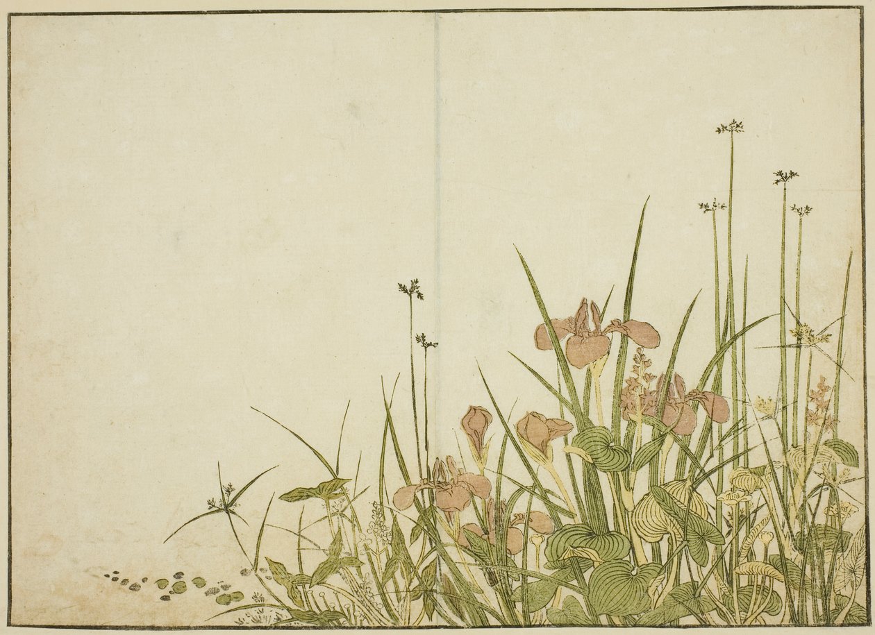 Sommerblomster: Iris og vandplantainer, fra bogen "Mirror of Beautiful Women of the Pleasure Quarters (Seiro bijin awase sugata kagami)," vol. 1 af Katsukawa Shunsho