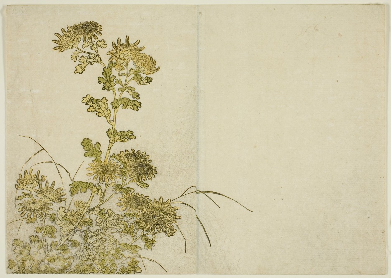 Vinterblomster: Krysantemum, fra bogen "Mirror of Beautiful Women of the Pleasure Quarters (Seiro bijin awase sugata kagami)," vol. 1 af Katsukawa Shunsho