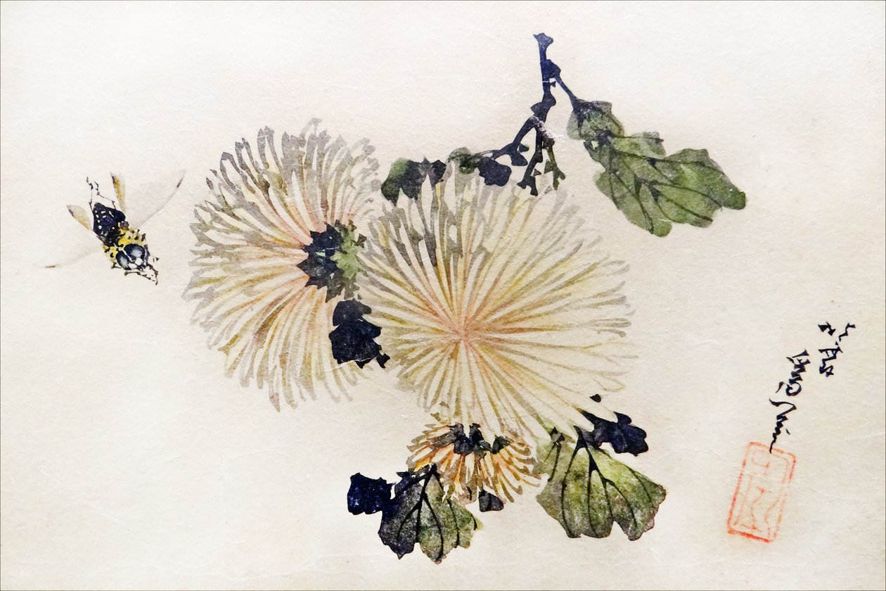 Krysantemum kunstværk af Katsushika Hokusai