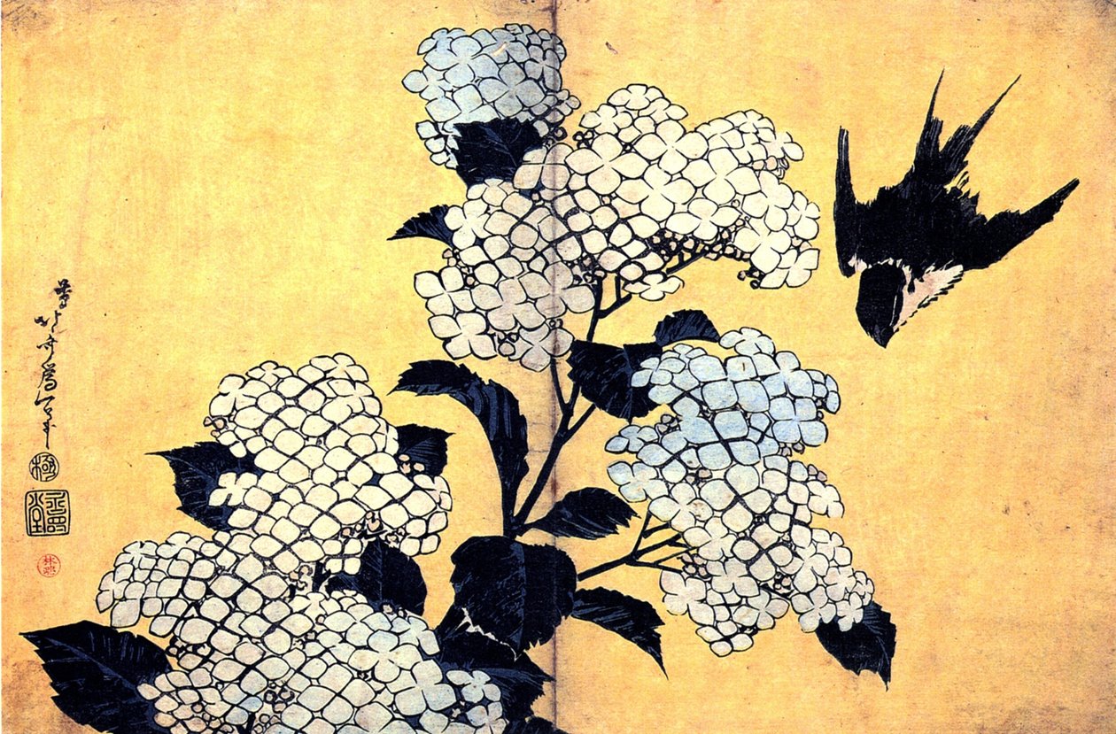 Hortensia og Sluge af Katsushika Hokusai