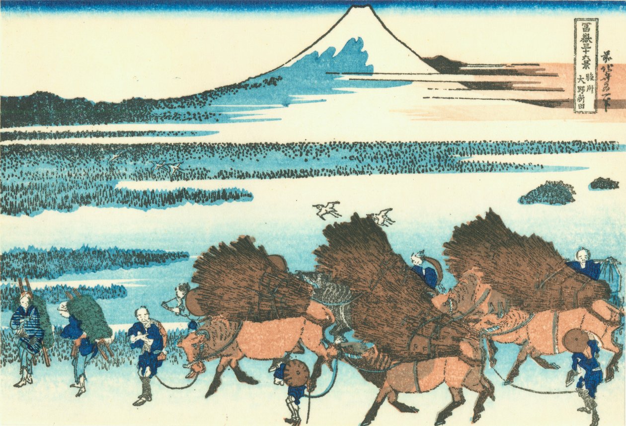 Rismarker i Ono, Suruga -provinsen af Katsushika Hokusai
