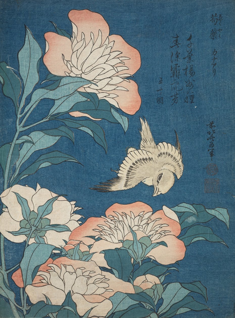 Peonies and Canary (Shakuyaku, kanaari), fra en serie uden navn, kendt som små blomster af Katsushika Hokusai