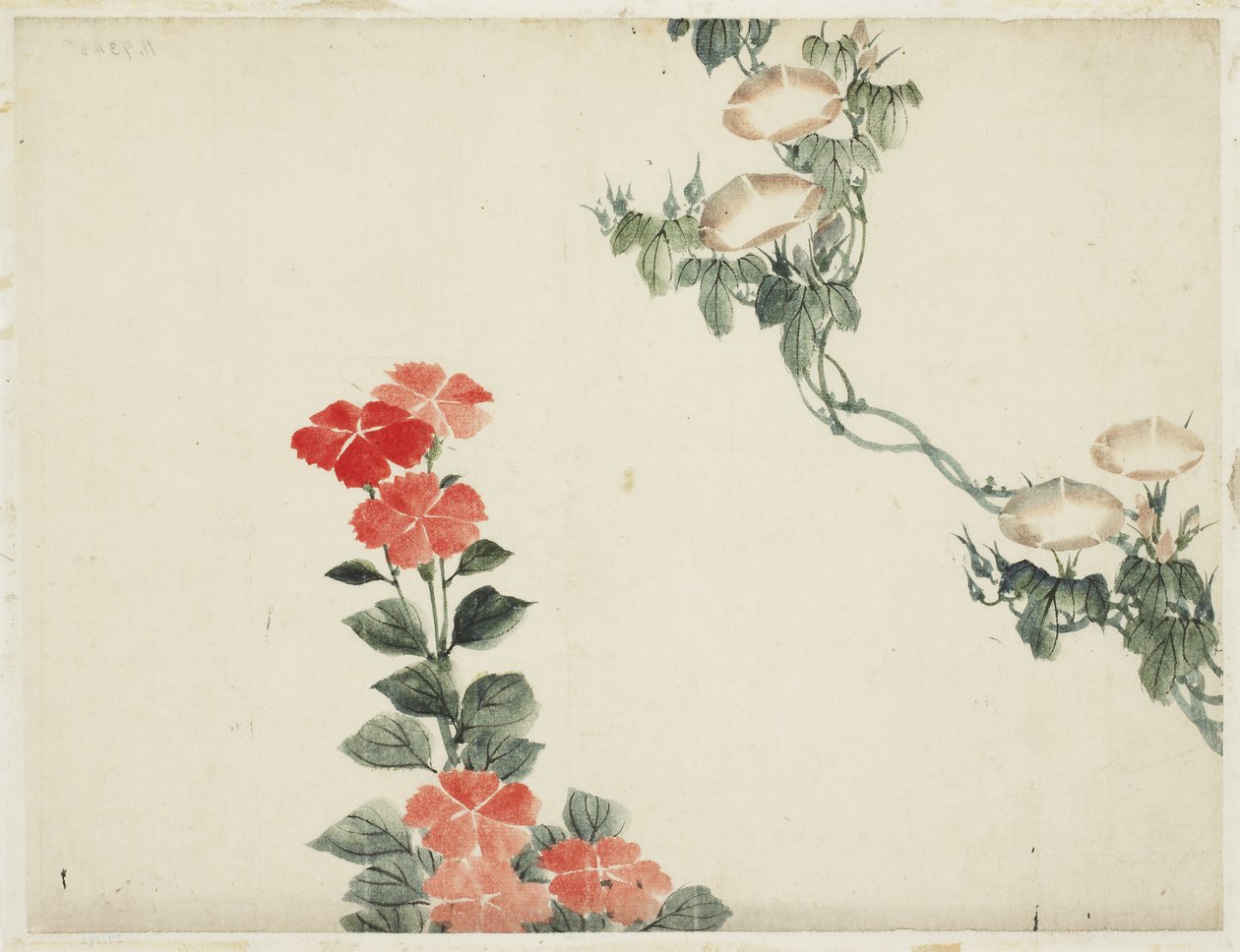 Morning Glory og røde blomster af Katsushika (school of) Hokusai