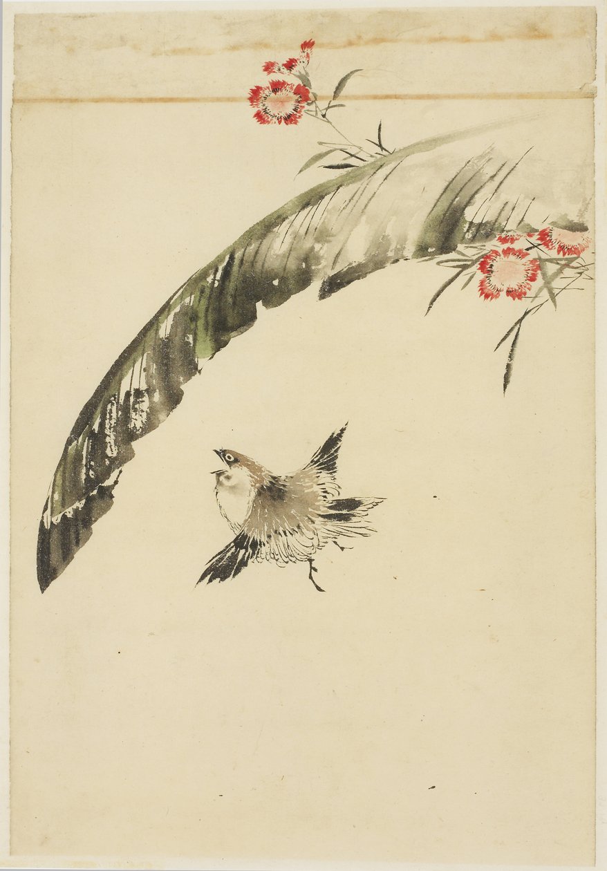 Spurv og bananblade og pink, 1615-1868 (blæk og farve på papir) af Katsushika (school of) Hokusai