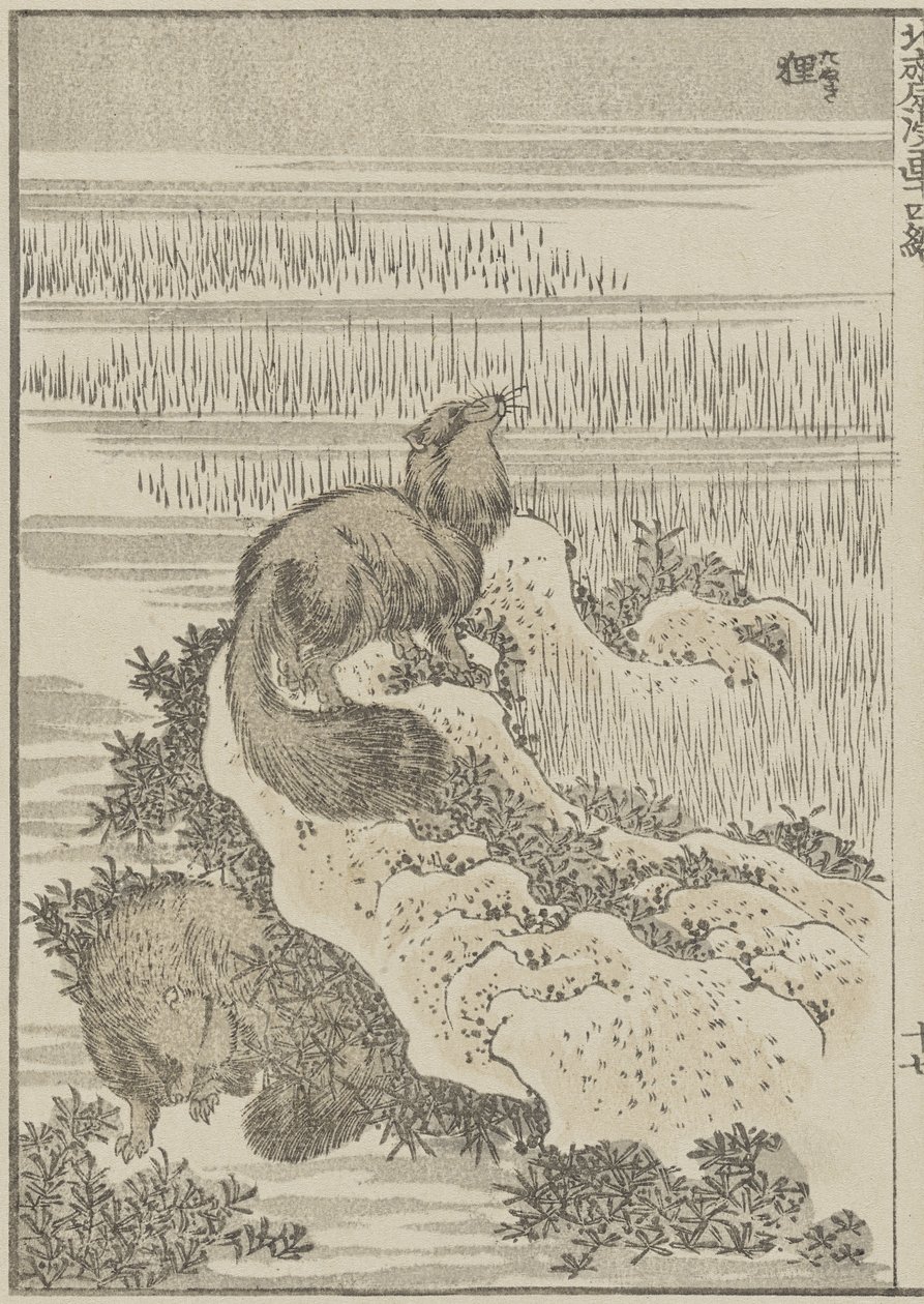 Grævling, ca. 1840 (træbloktryk) af Katsushika Hokusai