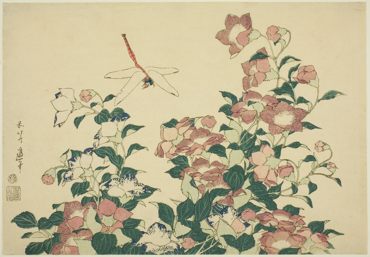 Klokkeblomst og Dragonfly, fra en unavngiven serie af store blomster af Katsushika Hokusai